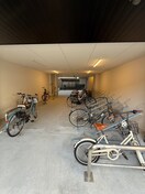 駐輪場 アドバンス天王寺南パキラ