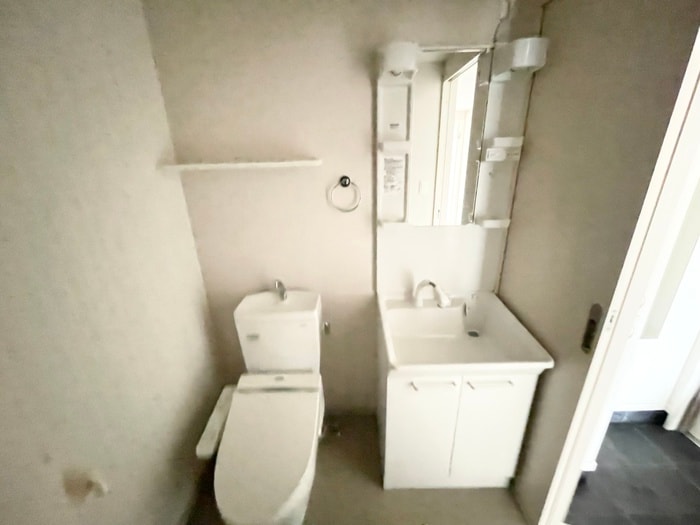 洗面 Ｐａｓｓｃｉｏ Ｎ