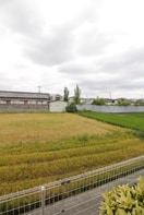 室内からの展望 フランクレ－ルⅡ