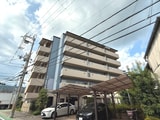 シェリール水無瀬