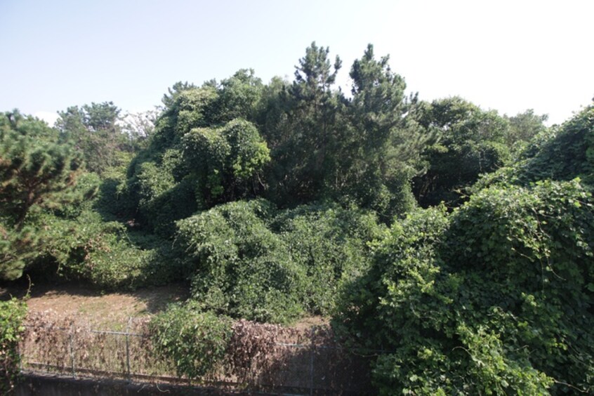 室内からの展望 クレセント垂水