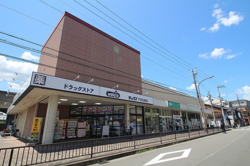 ダックス下京五条店(ドラッグストア)まで540m GREEN　FOREST丹波口