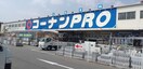 コーナンPRO豊中庄本店(電気量販店/ホームセンター)まで350m 二葉町貸家