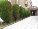 エントランス部分 アネックスグランなかもず