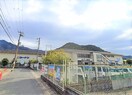 コーナン宝ヶ池上高野店(電気量販店/ホームセンター)まで250m ノルテ白川