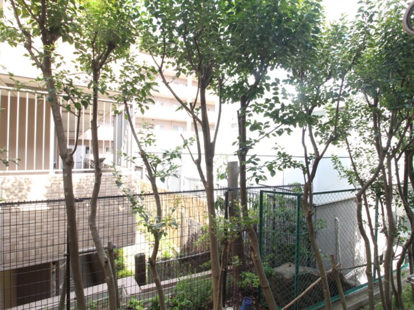 室内からの展望 ＨＡＬ仁川