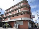 グレース　サンシャイン