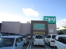 ニトリ(電気量販店/ホームセンター)まで750m 旭ケ丘マンション