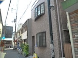 ウィスタリア大開