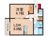 仮）樟葉朝日1丁目新築アパート 1LDKの間取り