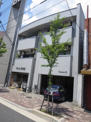 PASTUR-M