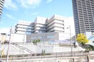 関西医大(病院)まで692m メゾンスカーレット