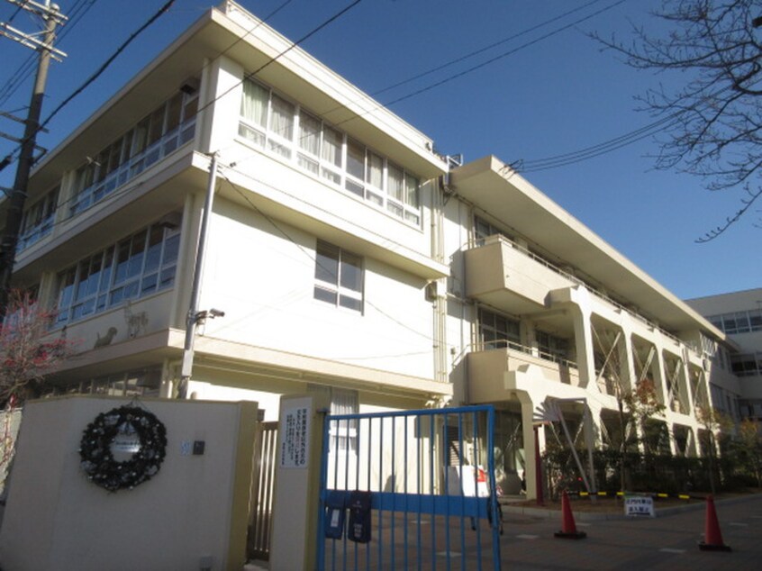 秦野小学校(小学校)まで550m 谷田ハイツ