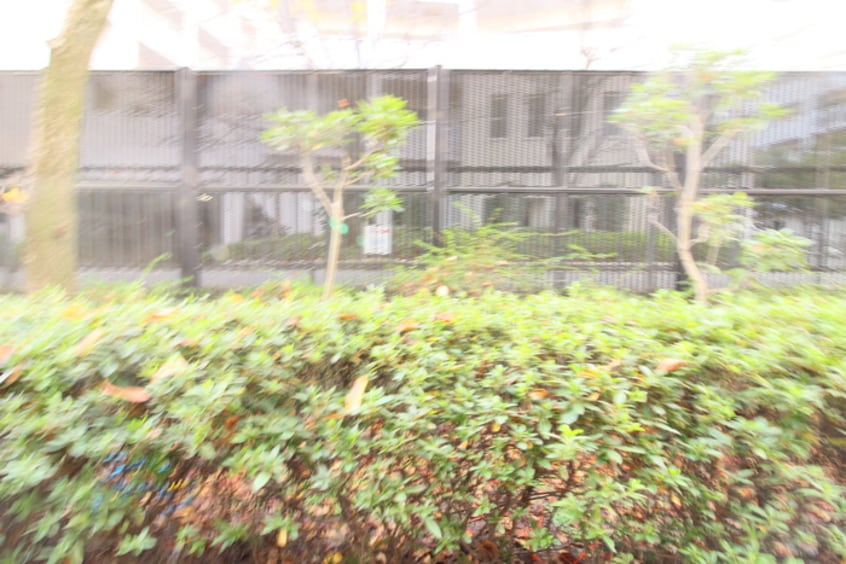 室内からの展望 レスカ－ラ緑地公園