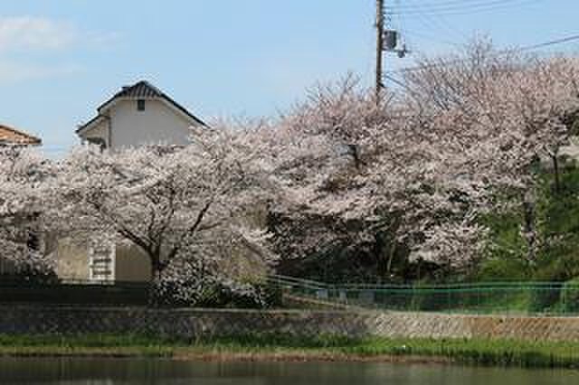 塩屋台公園(公園)まで110m アクアハイツ神戸塩屋台