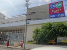 コープ(スーパー)まで660m ラ・カーサ・フェリーチェ住吉南