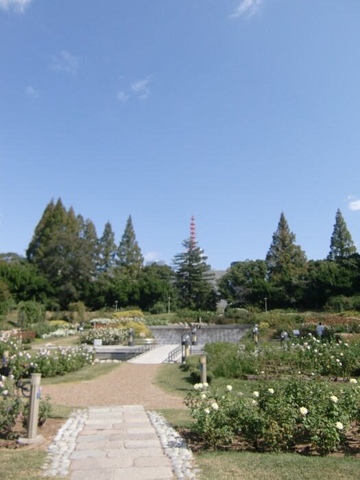 靱公園(公園)まで35m パ－クハイムうつぼ