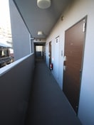 その他 ＬＡＮＴＡＮＡ　ＧＡＲＤＥＮ