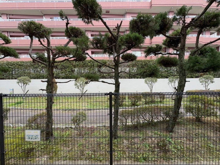 周辺環境 ファミリ－レジデンス桃町