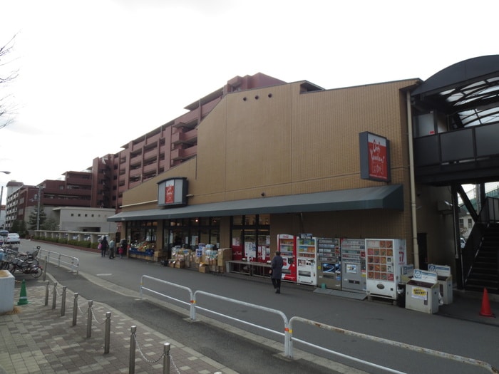 シェフカワカミ(スーパー)まで73m ファミリ－レジデンス桃町