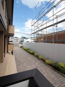 室内からの展望 プリムローズ