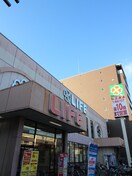 ライフ(スーパー)まで230m 七条西大路メゾン