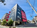 シロハイヌ門戸