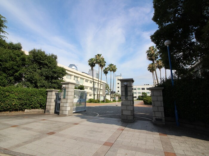 神戸大学　深江キャンパス(大学/短大/専門学校)まで290m 深江本町マンション