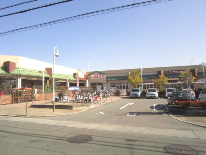 ケーヨーデーツー(電気量販店/ホームセンター)まで260m ピグナフィオーレＡ棟