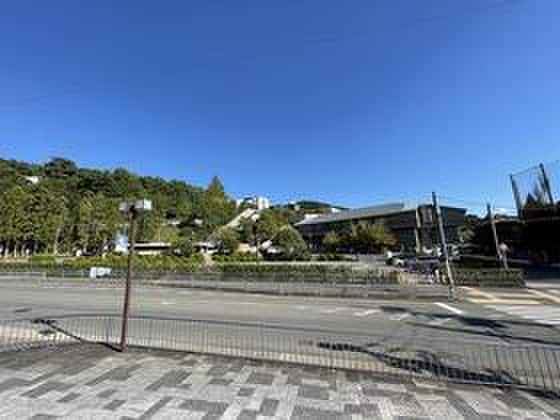 京都産業大学(大学/短大/専門学校)まで2609m MESA　VERDE 御園橋Ⅱ