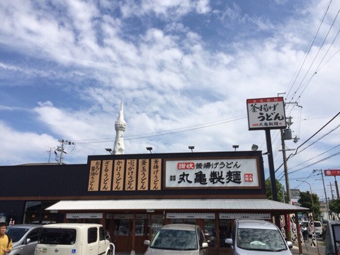 丸亀製麺(その他飲食（ファミレスなど）)まで600m フラッツ向陽台E棟