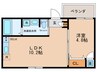 FmaisonLOREⅤ番館 1LDKの間取り