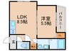 Capricorn 1LDKの間取り