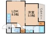 Capricorn 1LDKの間取り