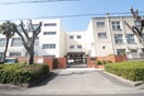 西淡路中学校(中学校/中等教育学校)まで220m グランデレーヌ