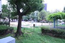 室内からの展望 グリーンマンション