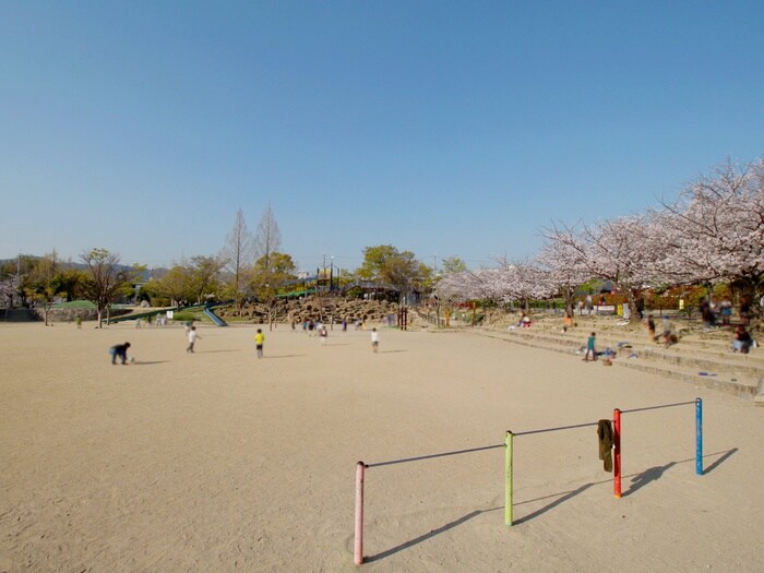 野畑南公園(公園)まで215m SOUTH(ｻｳｽ）