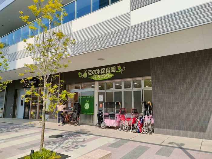 豆の木保育園(幼稚園/保育園)まで170m メゾン・リベルテ