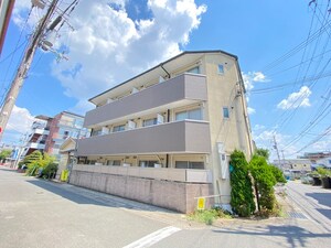 ＳＡＭ　ＭＩＮＤ　ＩＺＵＭＩ