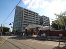 摂南大学 寝屋川キャンパス(大学/短大/専門学校)まで482m ジュネス中町