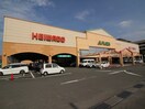 アル・プラザ香里園店(ショッピングセンター/アウトレットモール)まで1400m ジュネス中町