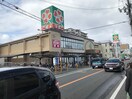ライフ(スーパー)まで500m クリエオーレ正雀Ⅱ