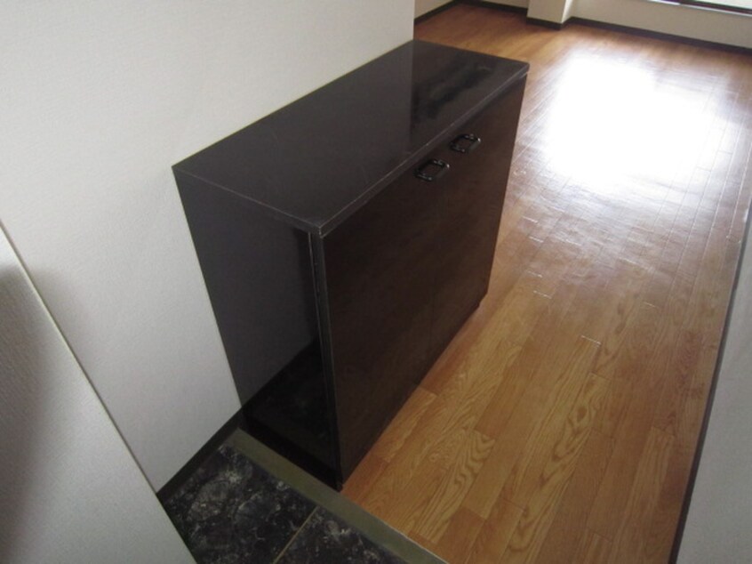 靴箱 ファントム中百舌鳥