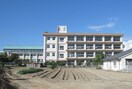 藤江小学校(小学校)まで467m ブル－メ－ル松江