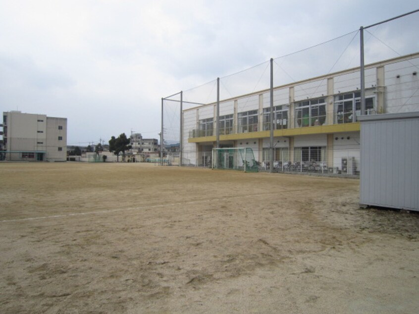 神田小学校(小学校)まで300m アルバトロス