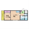 EDIFICE長居 1LDKの間取り