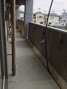 ベランダ・バルコニー Phoenix Villa りんくう