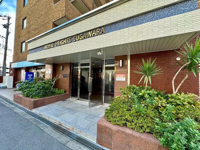 エントランス部分 ロイヤルハイツ菅原