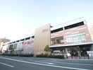 イオン(スーパー)まで474m ロイヤルハイツ菅原