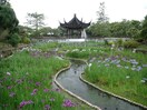 水月公園(公園)まで450m ウインズコ－ト井口堂